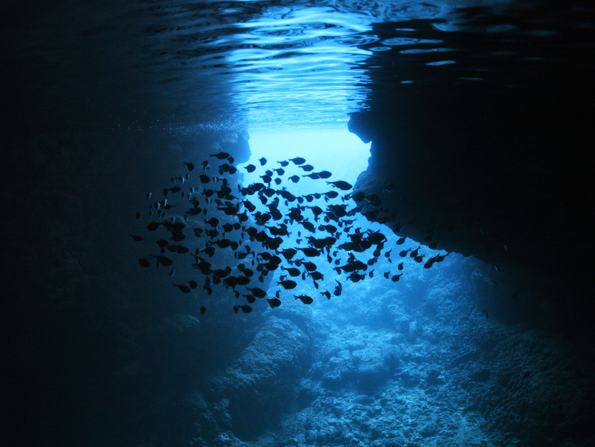 ボート青の洞窟体験ダイビングコース